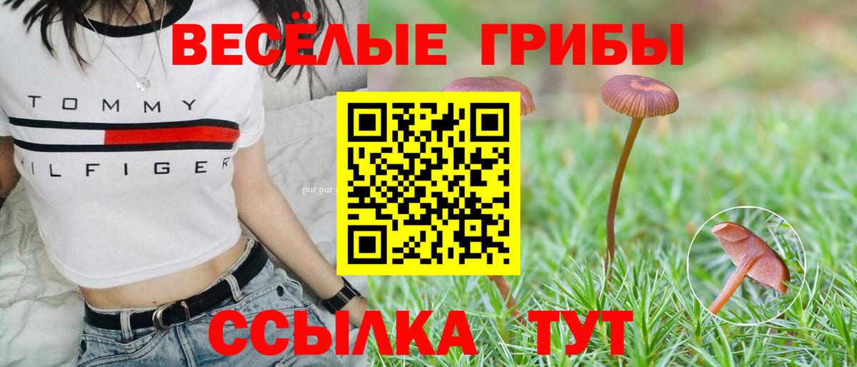 Псилоцибиновые грибы мицелий Нерюнгри
