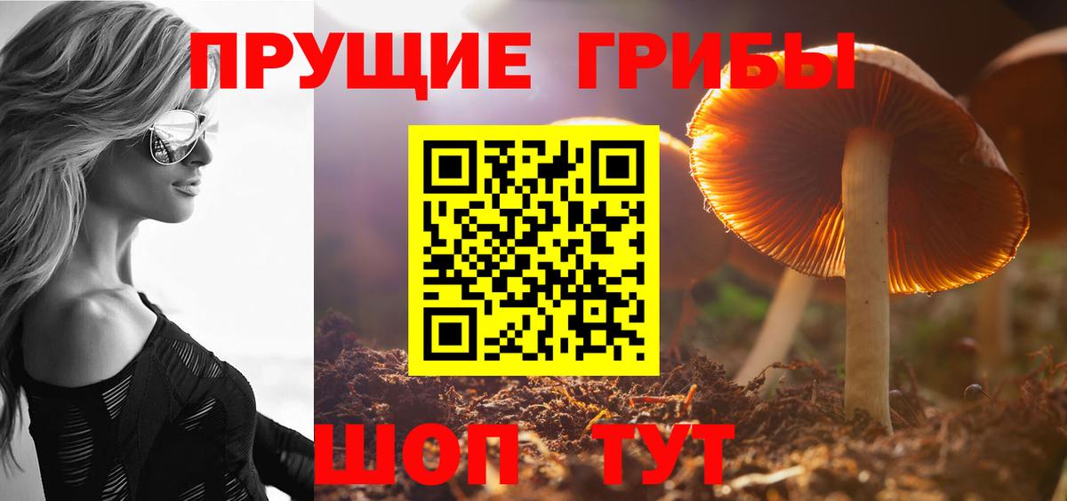 Псилоцибиновые грибы Psilocybe  Вход с VPN  Нерюнгри 